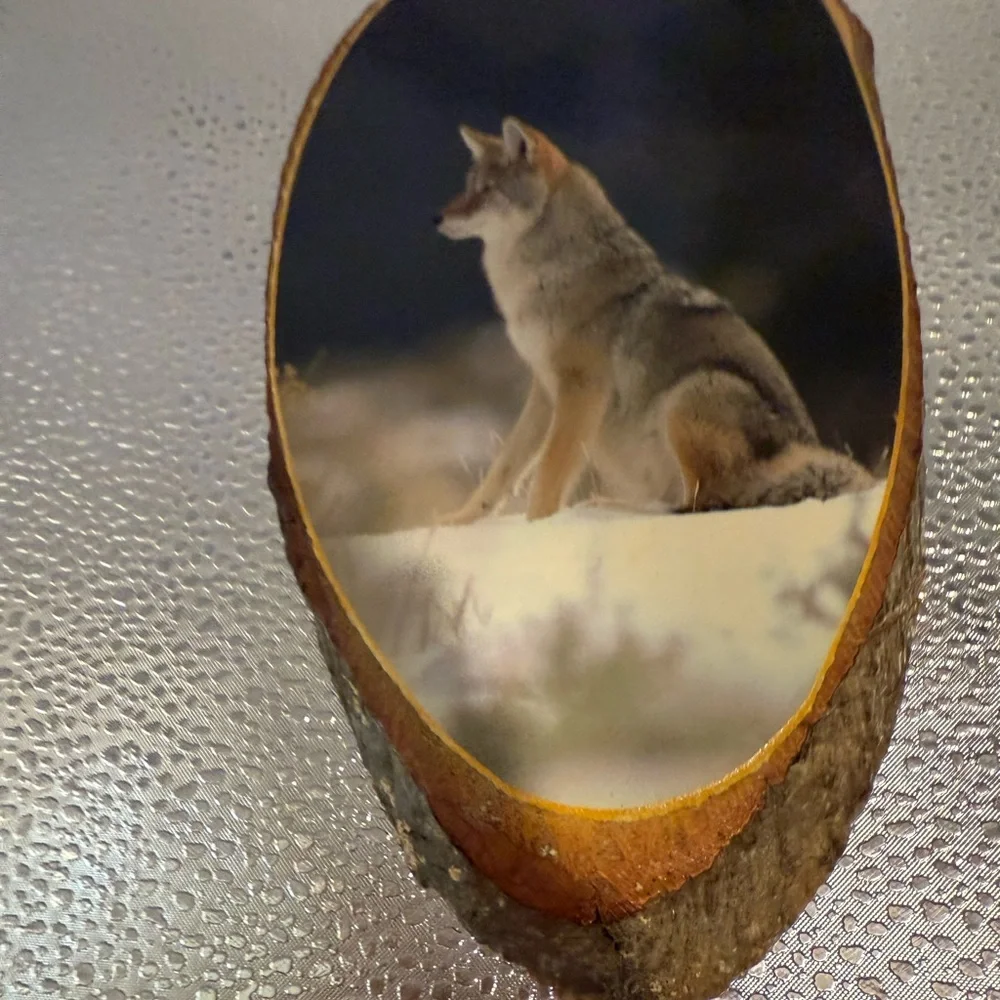 Rustic Wolf Wall Art on Wood Slice